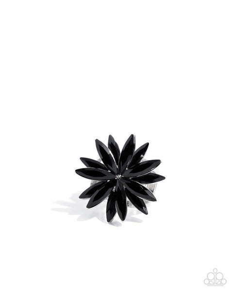 Sophisticated Shine - Black
